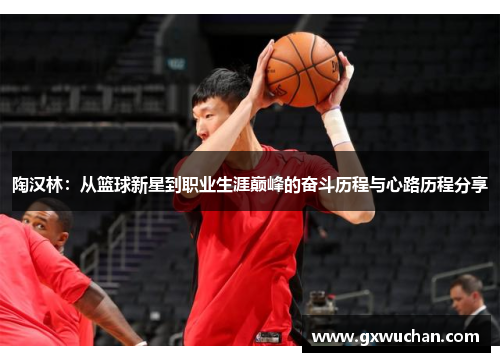 陶汉林：从篮球新星到职业生涯巅峰的奋斗历程与心路历程分享